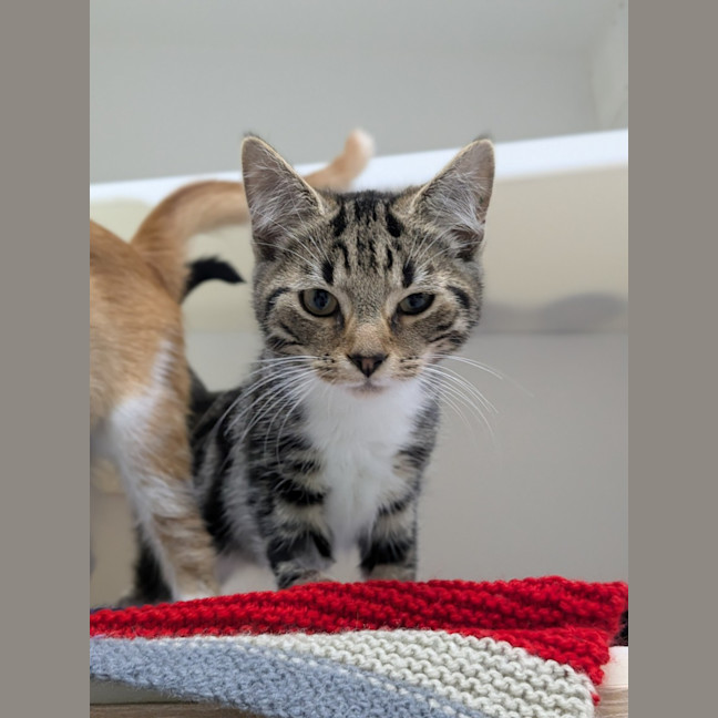 Photo of 🎣 Klaus 6750 🎣