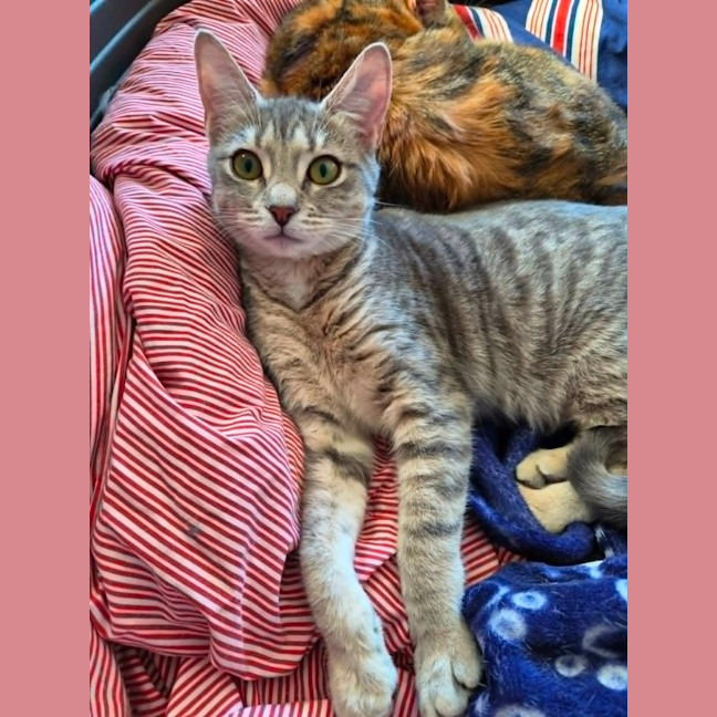 Photo of Skye