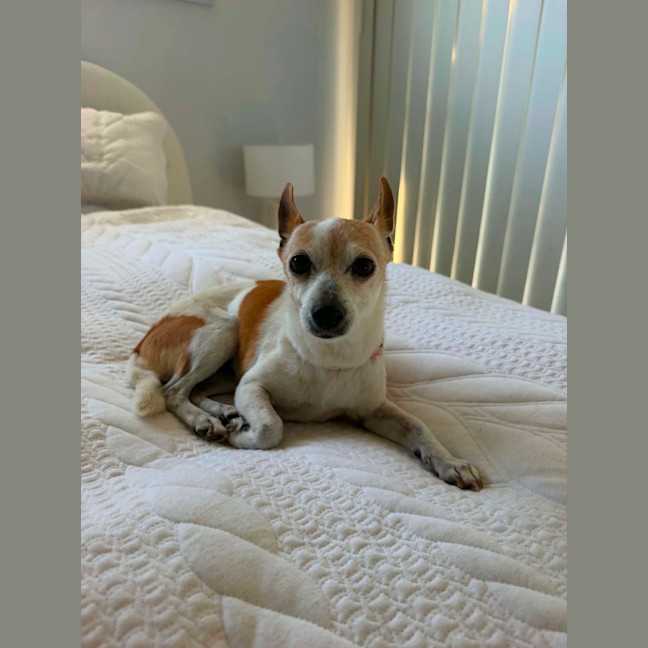 Photo of Bella