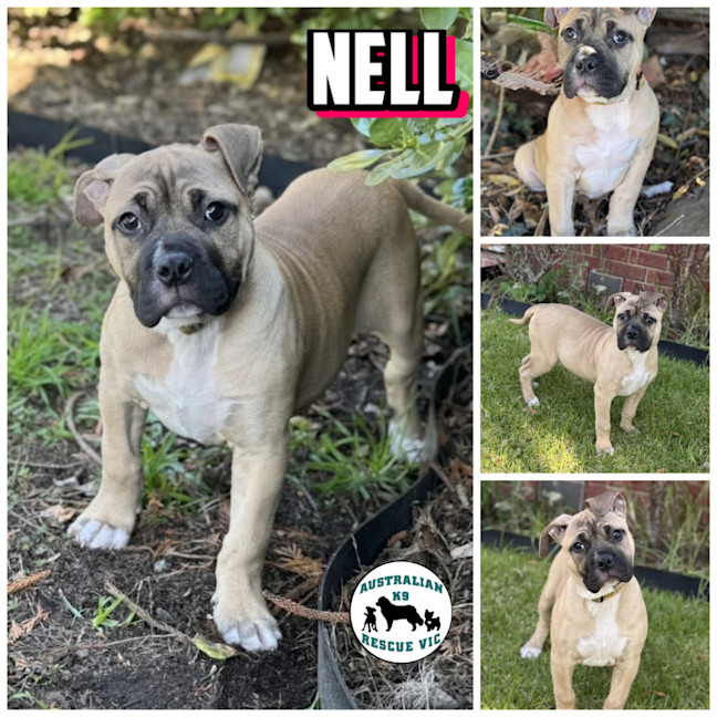 Photo of Nell 