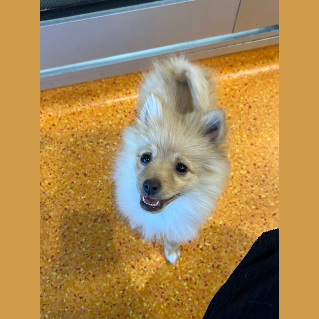 Photo of Gatsby