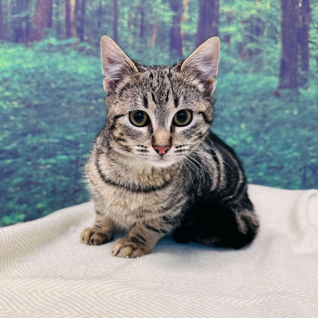 Photo of Bobby   Located In Preston