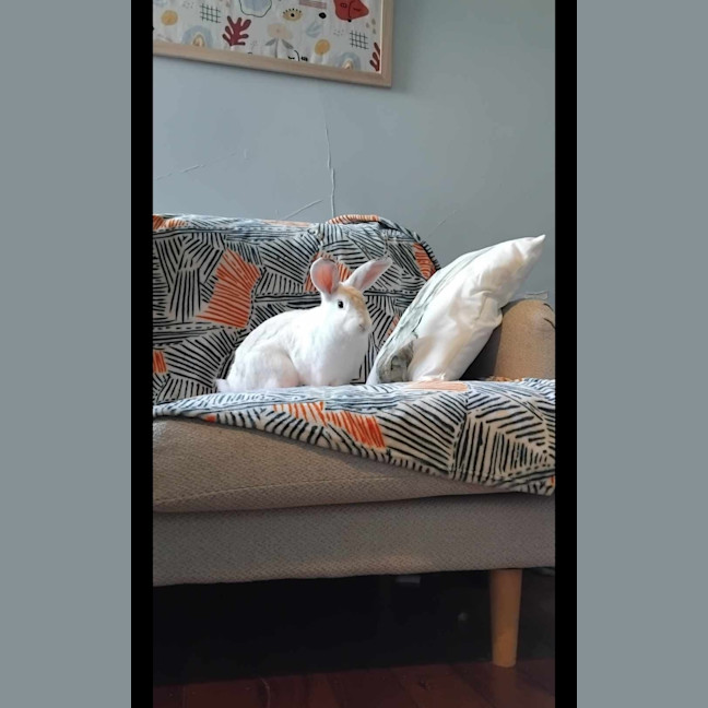 Photo of Adorable Piotr