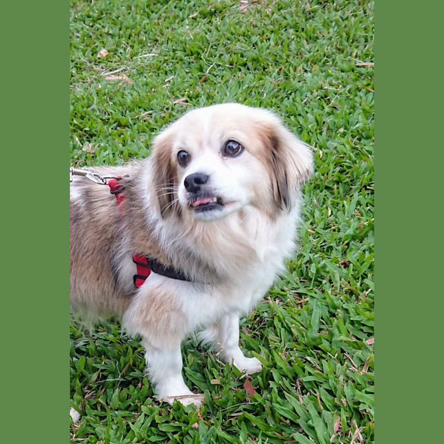 Photo of Charlie