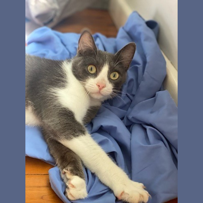 Photo of Storm (9173)