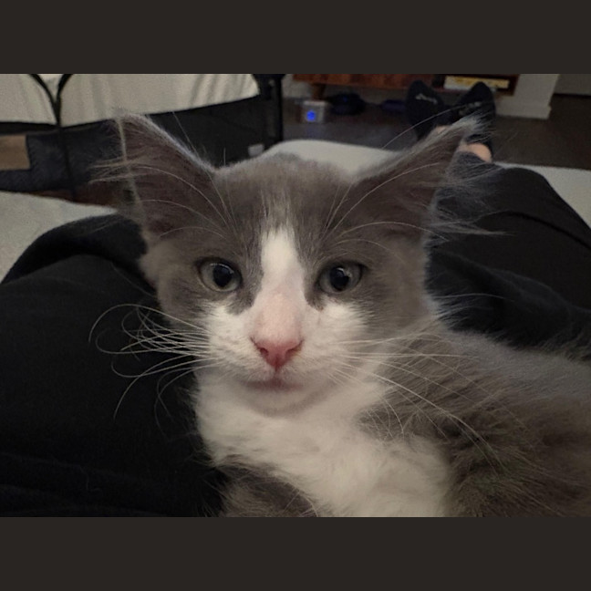 Photo of Hugo