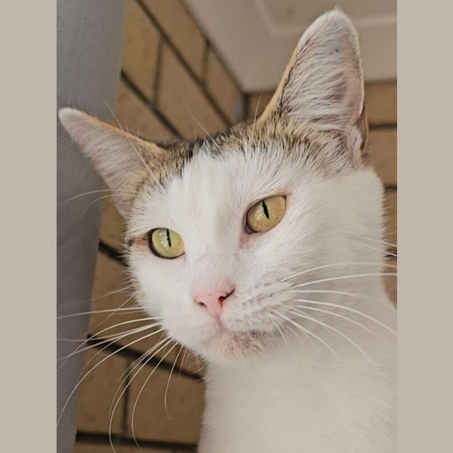 Photo of Hazel