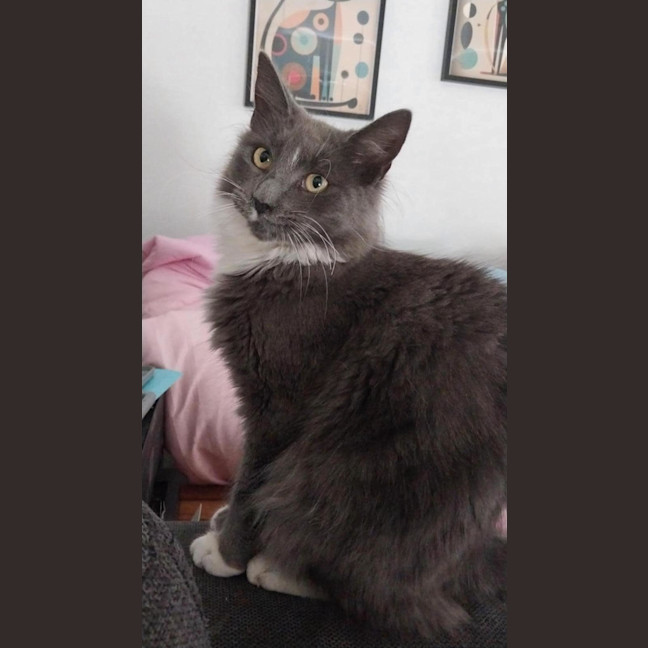 Photo of Greyson 💙