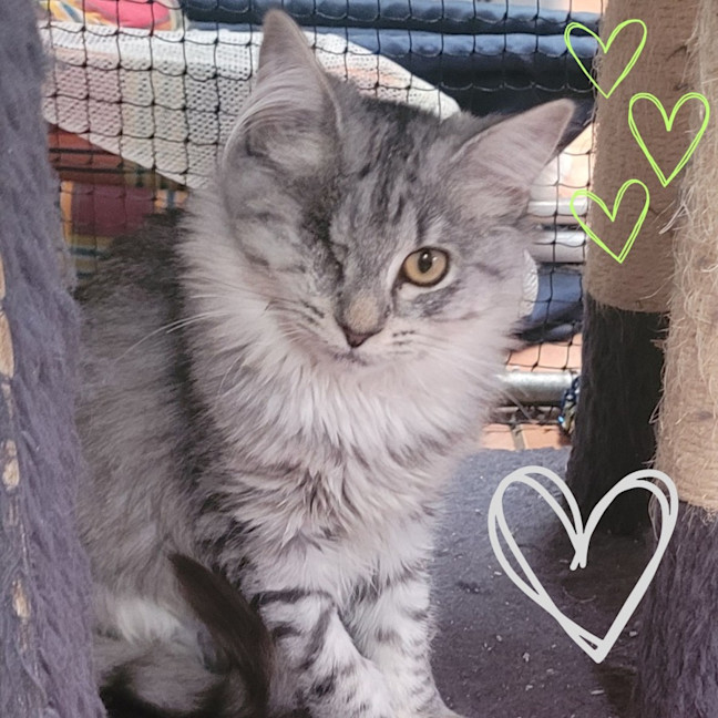 Photo of 💖 Chloe & Charlie 💖