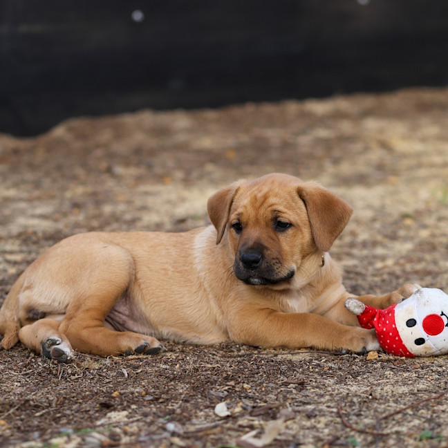 Photo of Addie