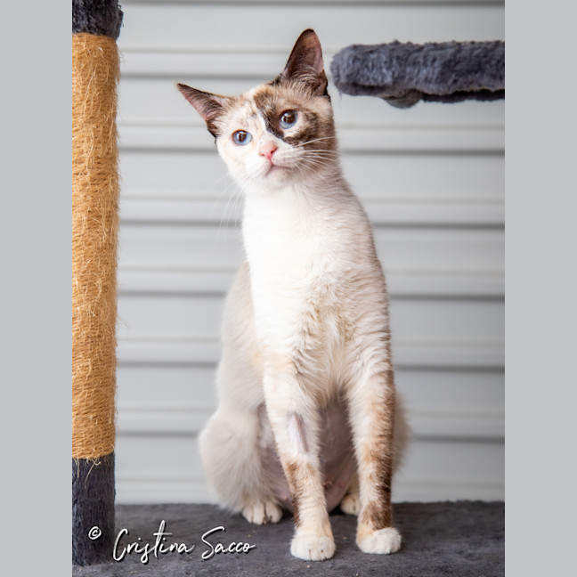 Photo of Chloe