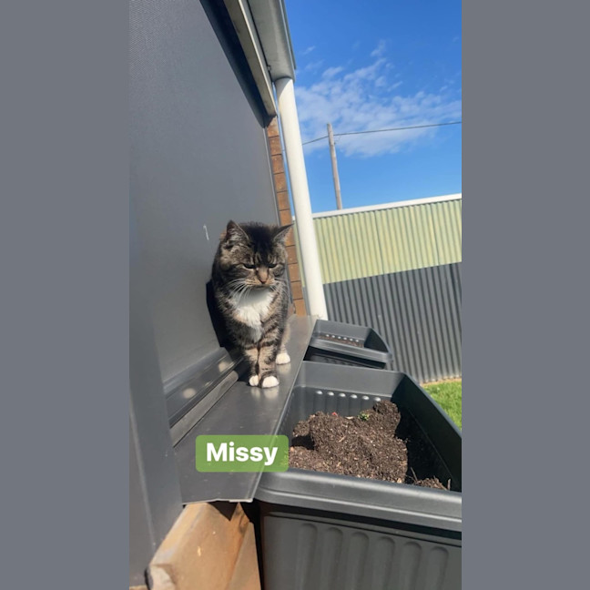 Photo of Boots (And Missy)