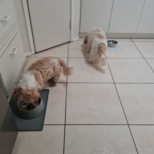 Photo of Molly Quinnell