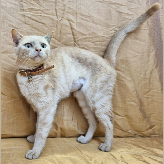 Photo of Samara 