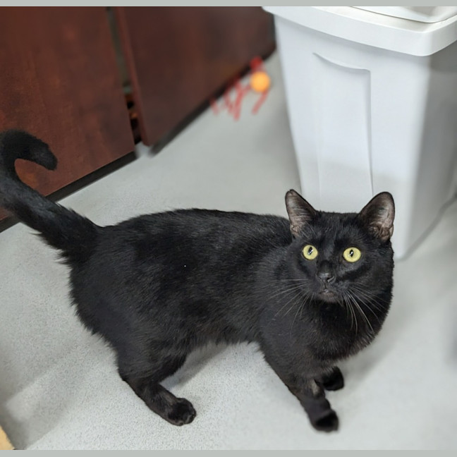 Photo of 🎐 Leroy 5499 🎐