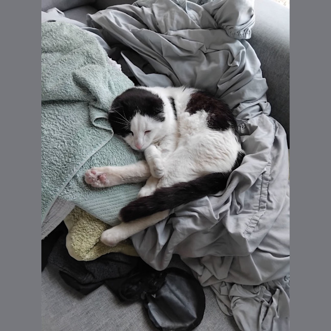 Photo of Lenny