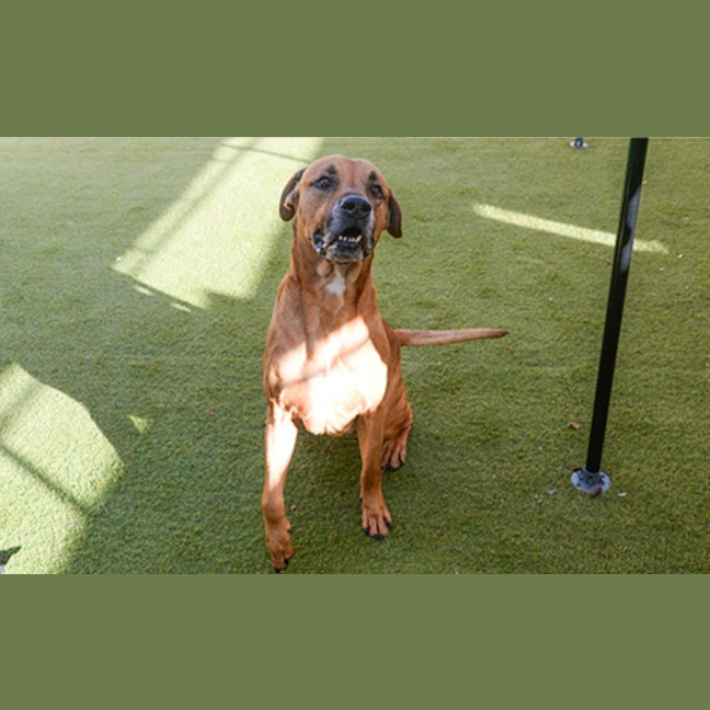 Photo of Charlie
