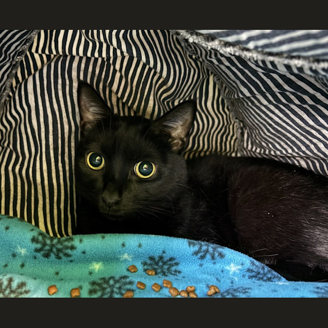 Photo of Nigel