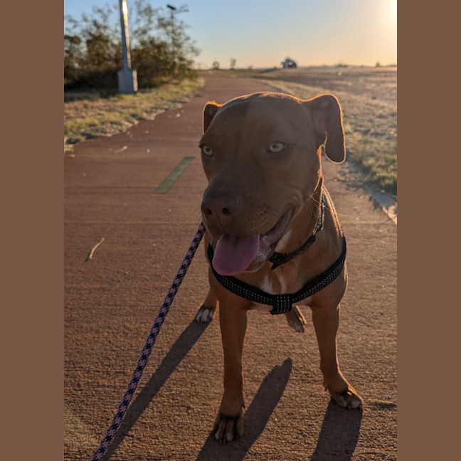 Photo of Tess