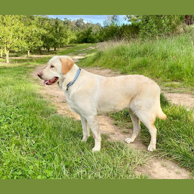 Photo of Max