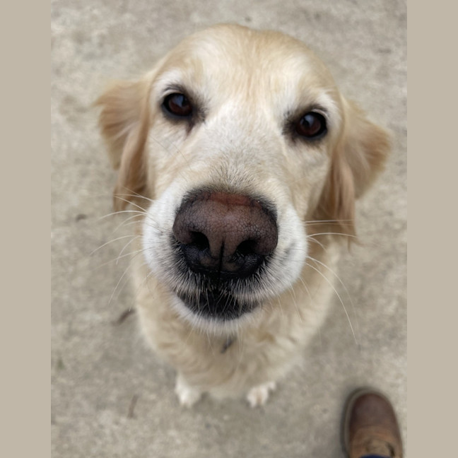 Photo of Misty