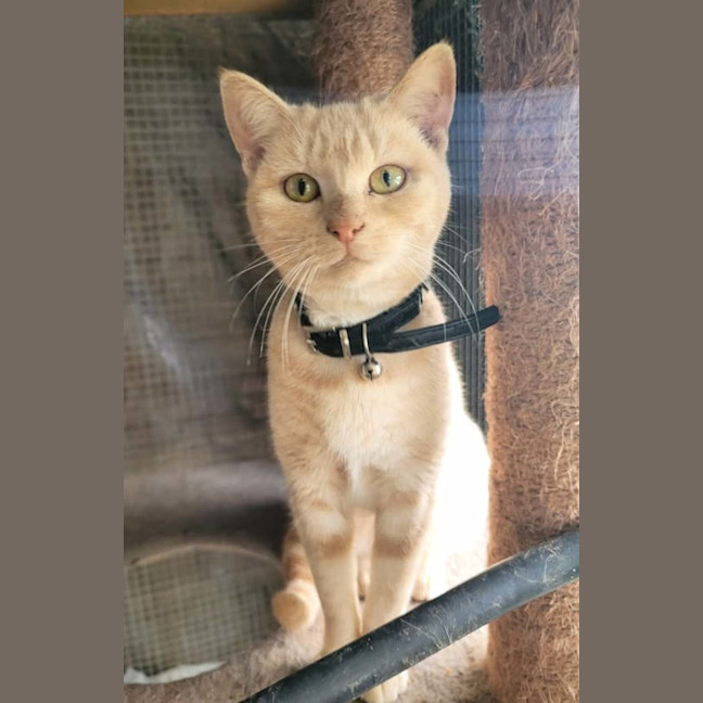 Photo of Tempest 