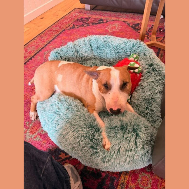 Photo of Heidi