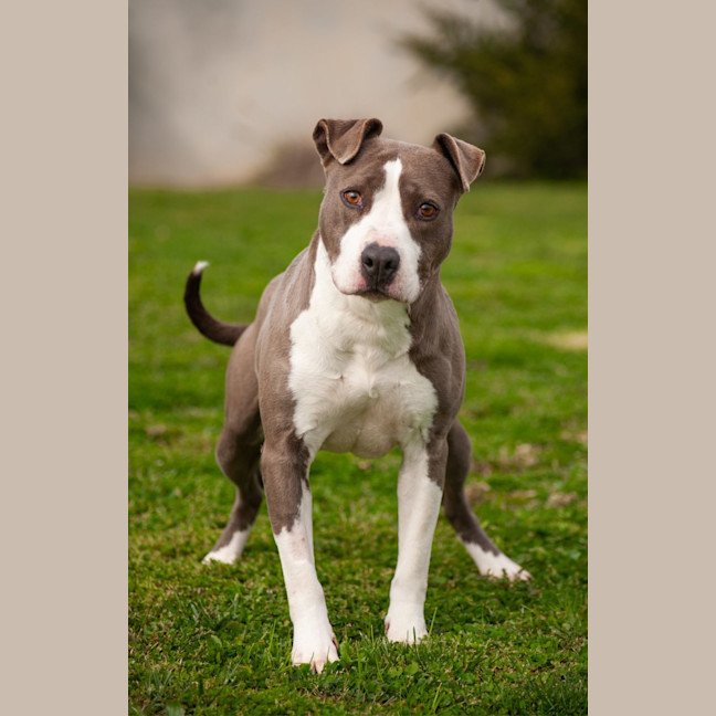 Photo of Zena