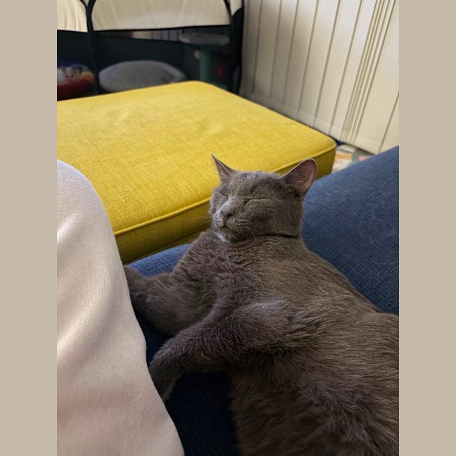 Photo of Ralph