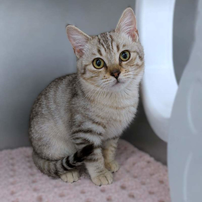 Photo of Amara
