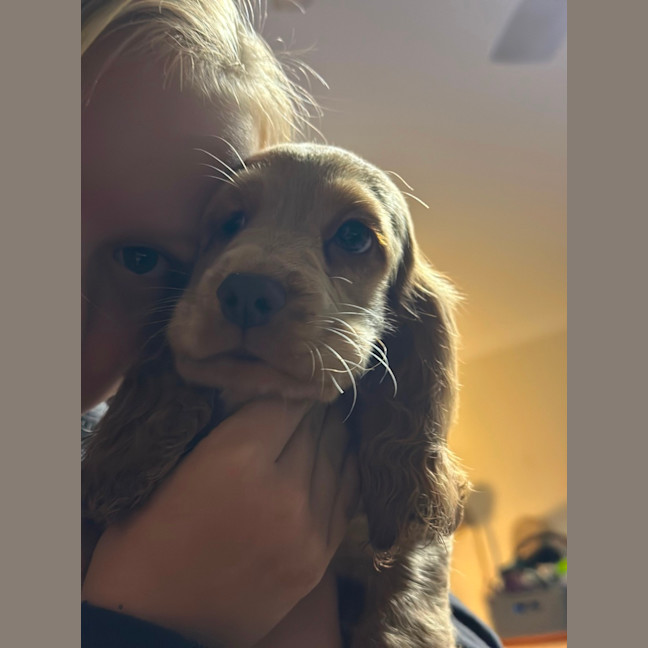 Photo of Prada