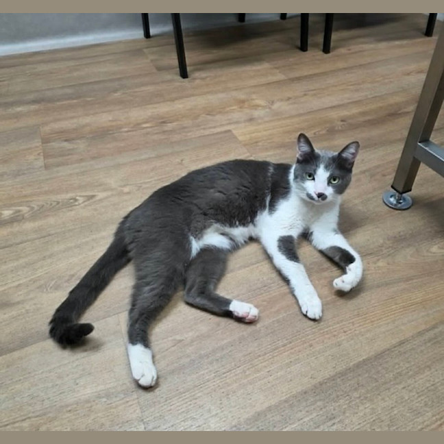 Photo of Hamish