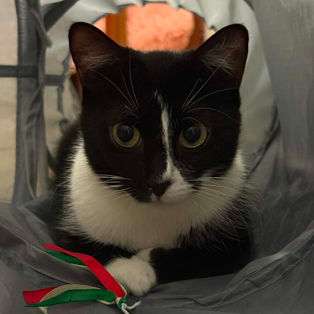 Photo of Jasmine