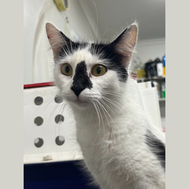 Photo of Maisy