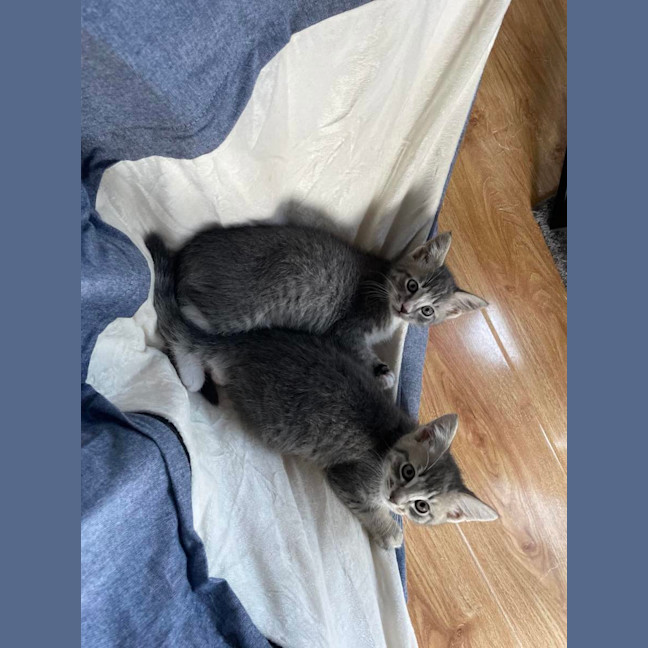 Photo of Lily   Located In Bentleigh East