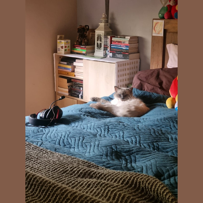 Photo of Selene & Voxie