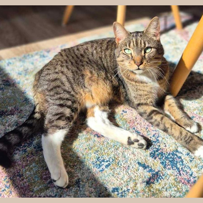 Photo of Harry Styles