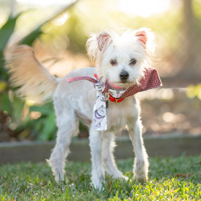 Photo of Jack Sprout