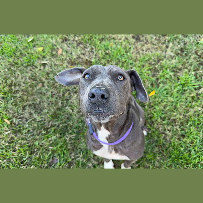 Photo of Rosie