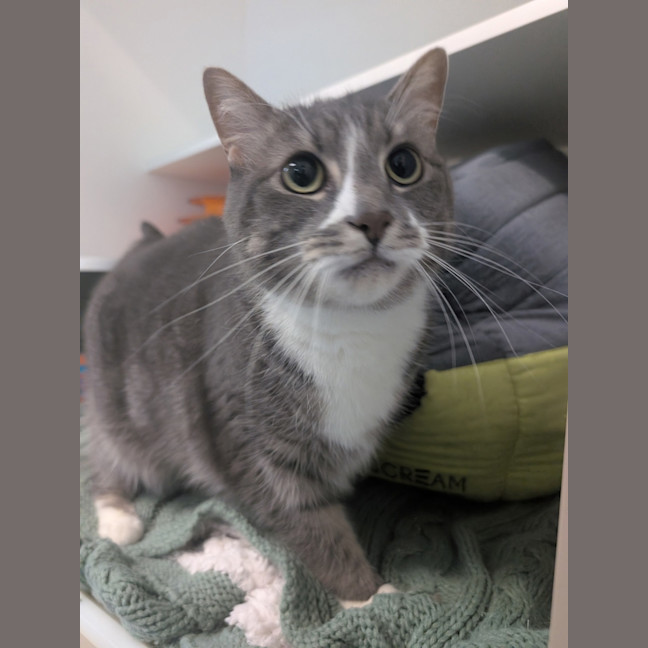 Photo of Sparkle