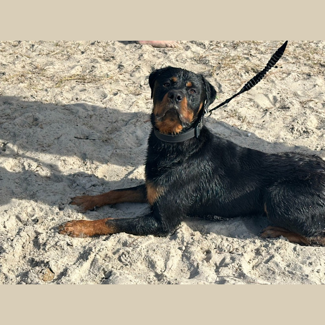 Photo of Murphy