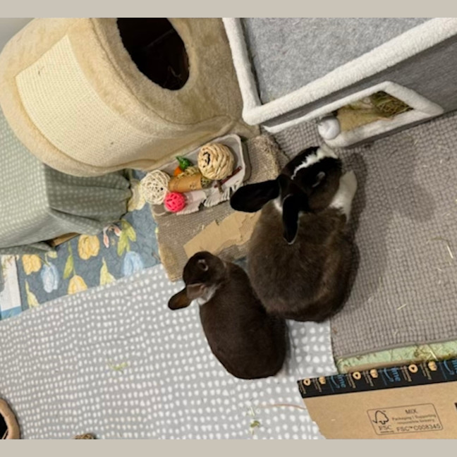 Photo of Bunbun And Lil Man