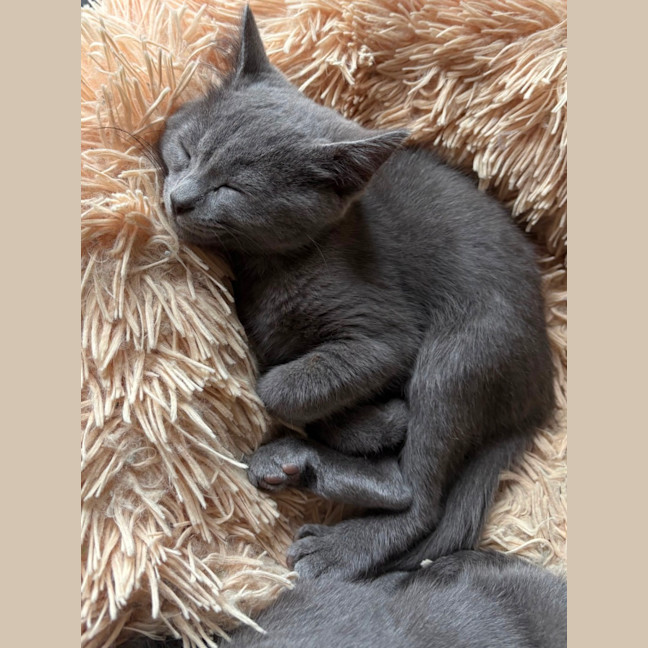 Photo of Ruby ♥️♥️♥️♥️♥️