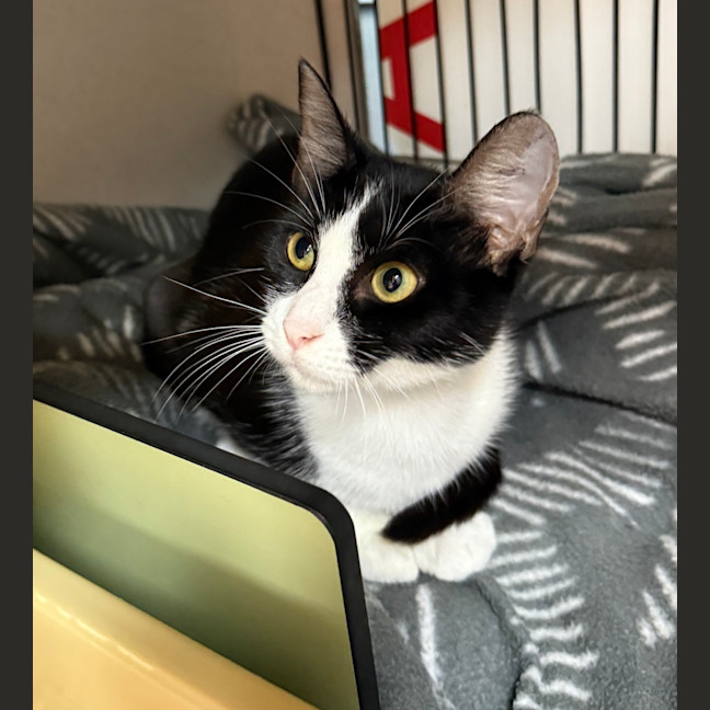 Photo of Sprout