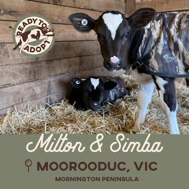 Photo of Milton & Simba