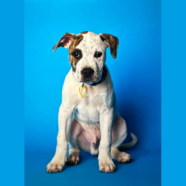 Photo of Kash