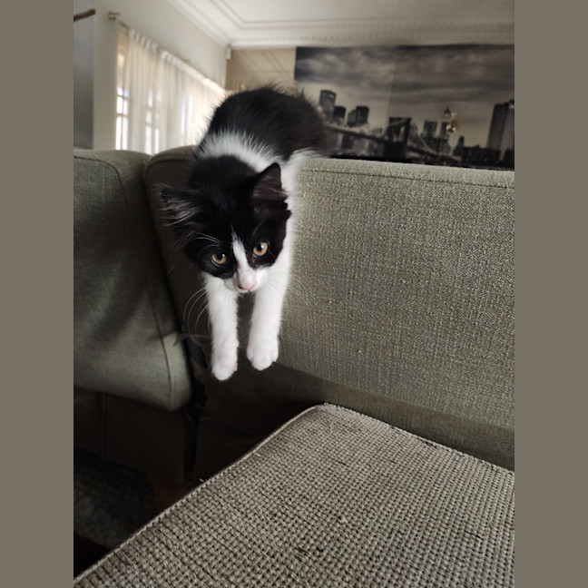 Photo of Theo