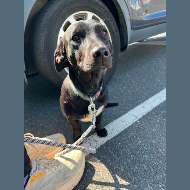 Photo of Bud