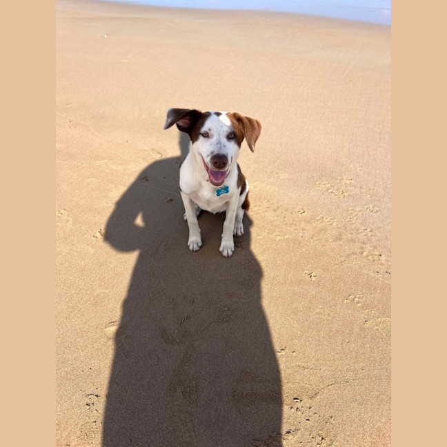 Photo of Pepper