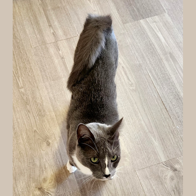 Photo of Still Water 